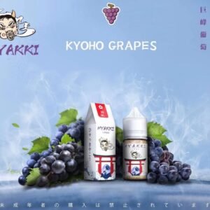 【小煙油】日系 HYAKKI（哈婭崎）30ML